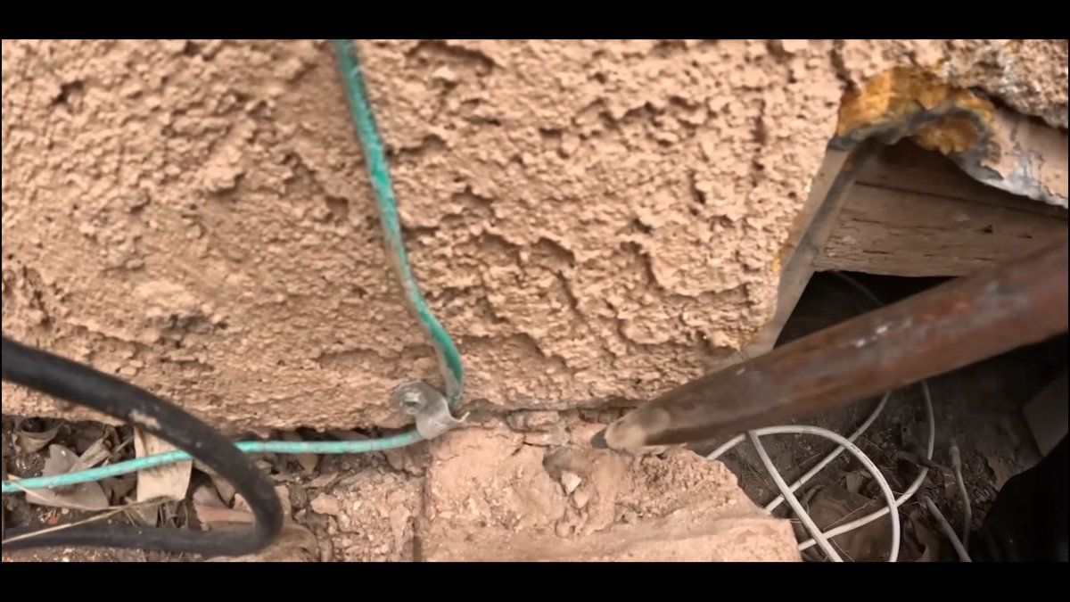 Atlas Pest Control Reports Rising Demand for Rodent Solutions in Norman