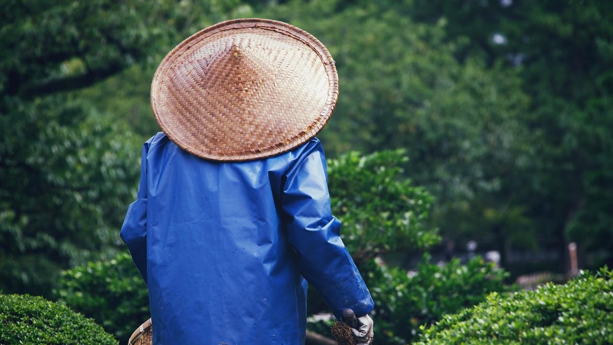 Spring Planting in Texas: What To Grow & When, According to Local Experts