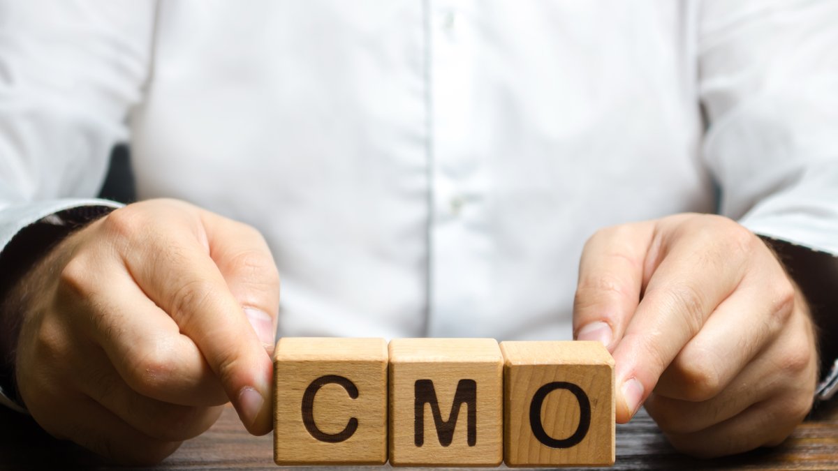 What Does a Fractional CMO Do? Albuquerque Expert Explains the Benefits