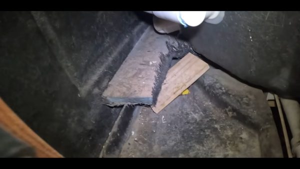 Atlas Termite & Pest Control Focuses on Proactive Termite Prevention Strategies
