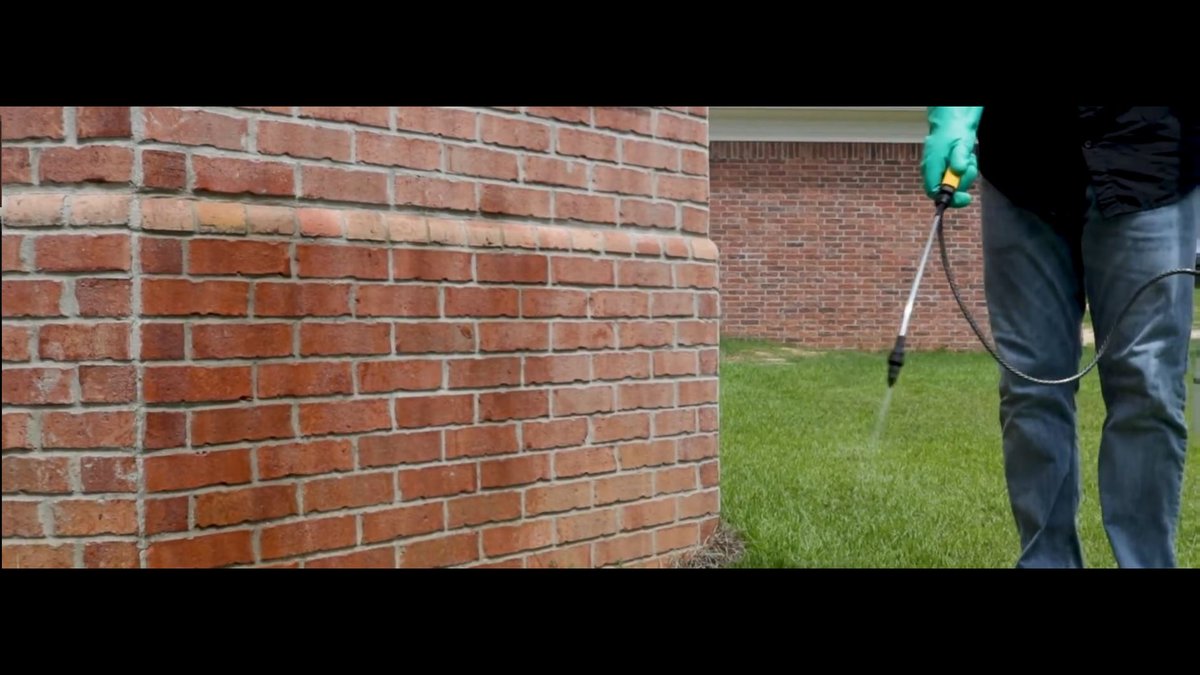 Atlas Termite & Pest Control tackles rising termite threat in Edmond areas