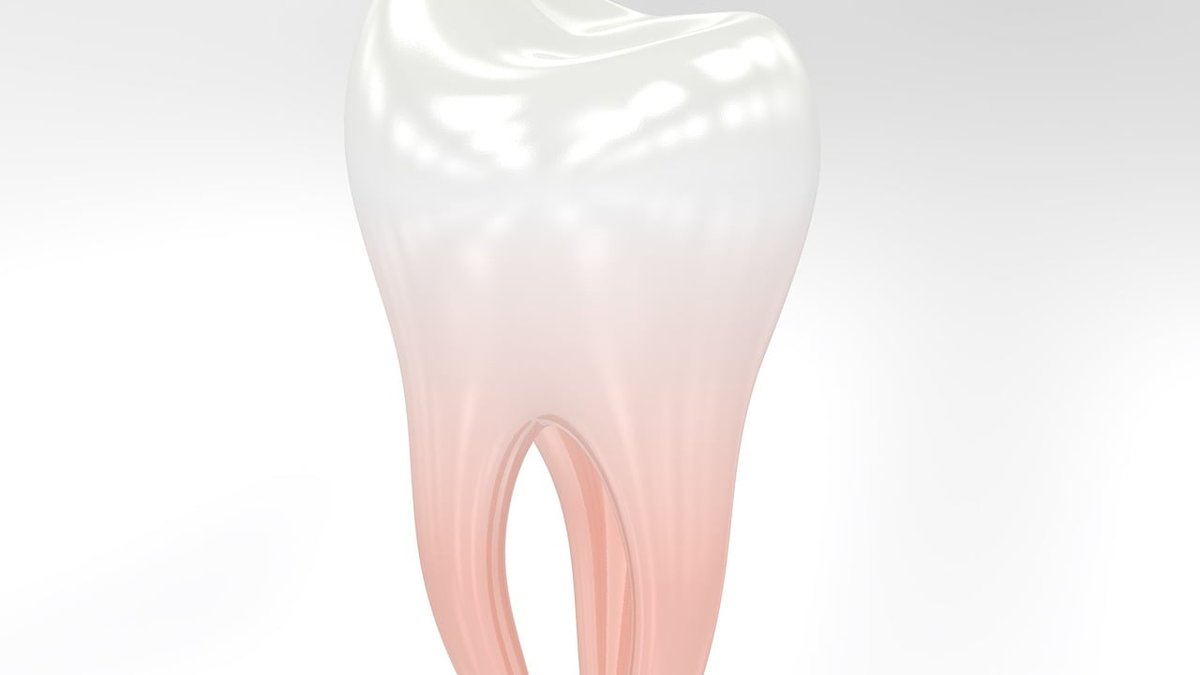 Baltimore Dentist AI Search Visibility: Multichannel Content Marketing Announced