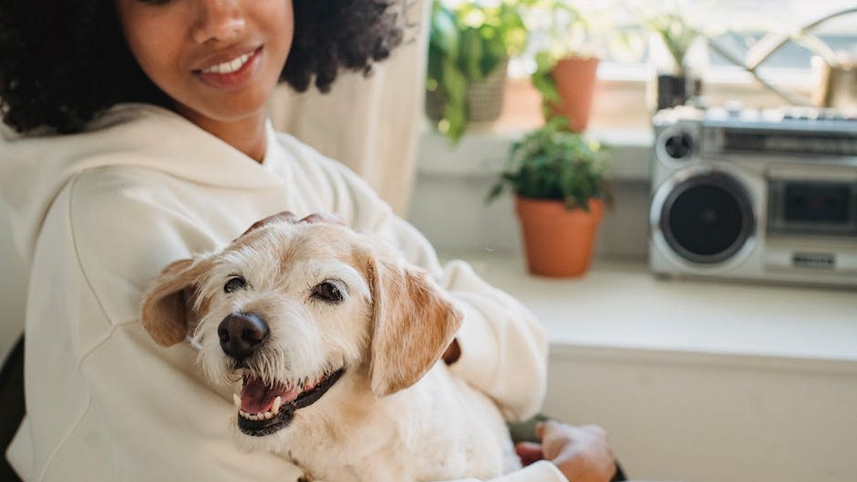 Can My Dog Tell Something Is Wrong With Me? Guide on Signs Released