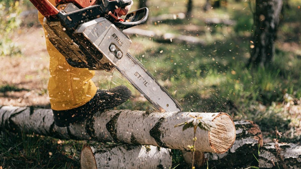 Carbide vs Steel Chainsaw Chains: Which Is Better for Commercial Logging?