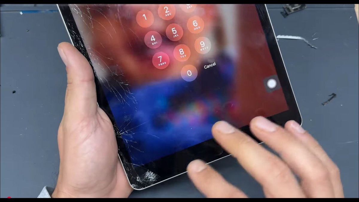 Cracked iPad Screen Repair Services Expand at Love My Phone Repair