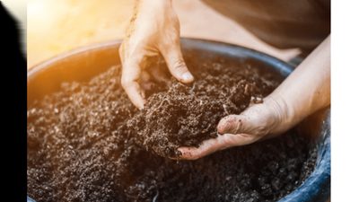 Custom Fertilizers: How Soil Analysis Improves Yield Results For EU Growers