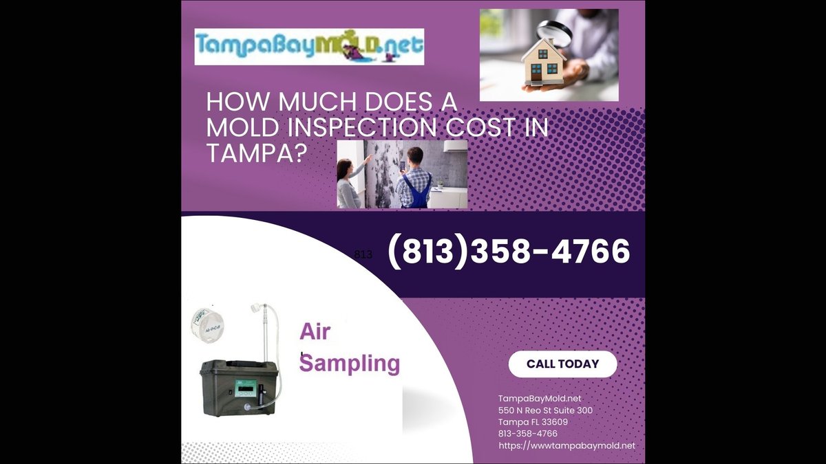 Dangerous Mold Species | Tampa Inspection Firm Reveals Mycotoxin Producers
