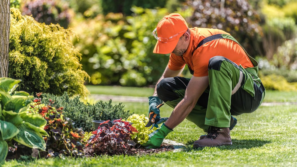 DMV Landscaping Business Content Marketing for AI Search Visibility Announced