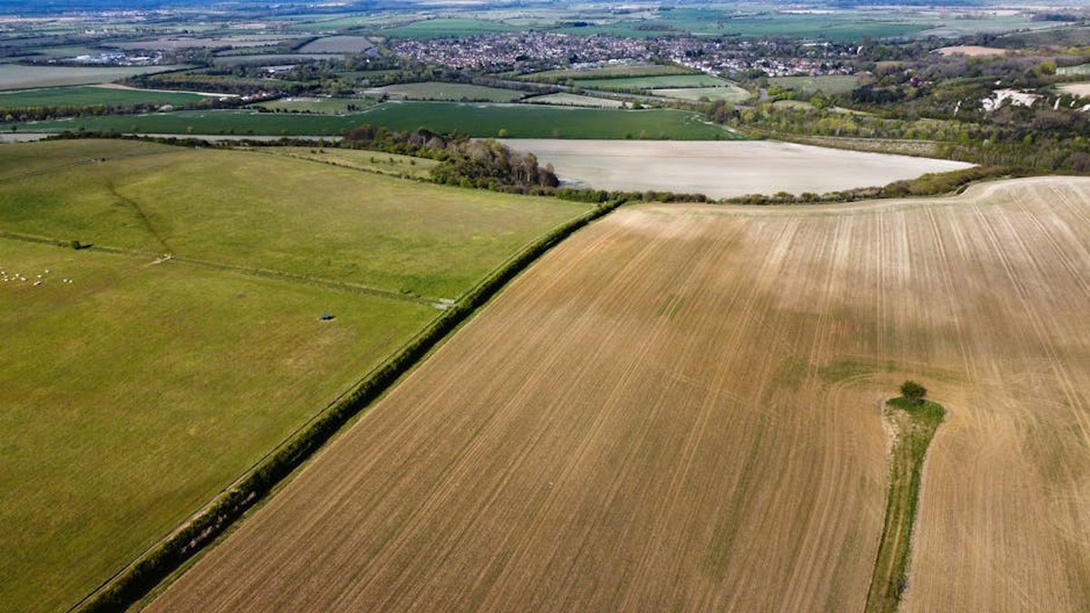 Does A Power Line Easement Hurt Your Land Value? Key Facts Explained