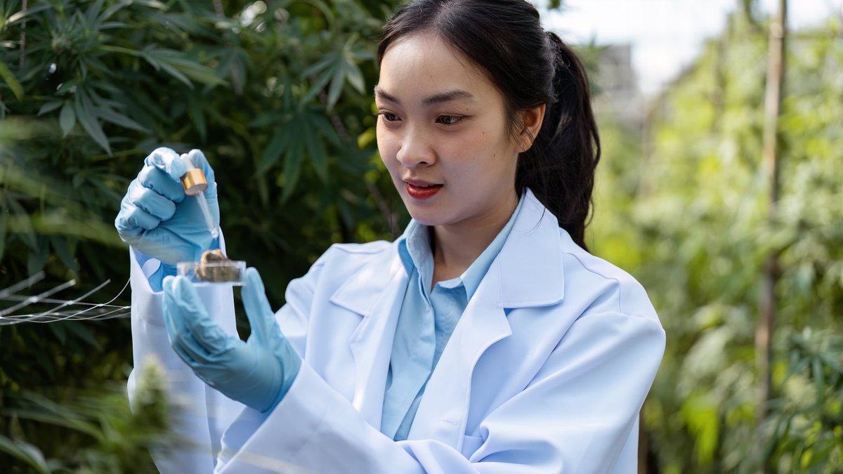 GMP Medical Cannabis Requirements: Expert Guide to Compliance