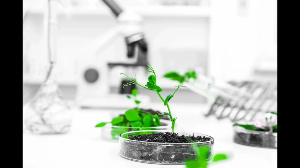 GMP Pharmaceutical Lab Design & Cleanroom Engineering Consulting Services Expand