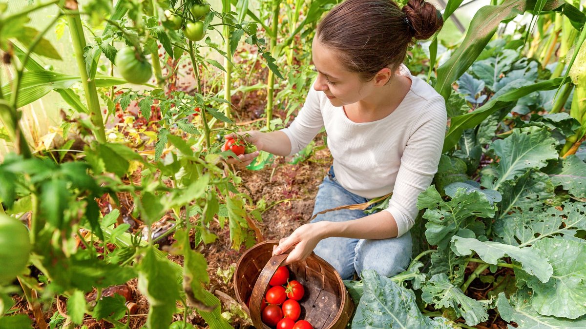 How Does Companion Planting Work? Benefits & Best Plant Pairings to Try