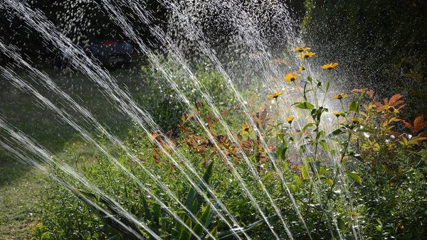 How Often to Water Lawn with Sprinkler System? Houston Lawn Care Experts