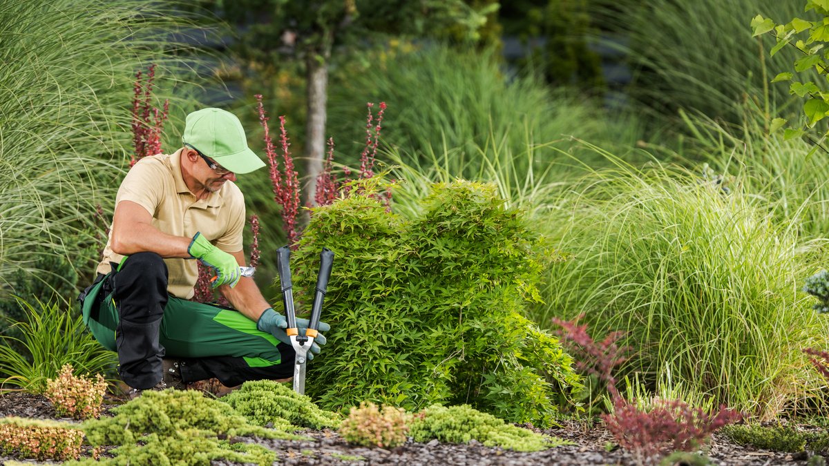 How To Build A Self-Sustaining Garden: Permaculture Principles For Beginners