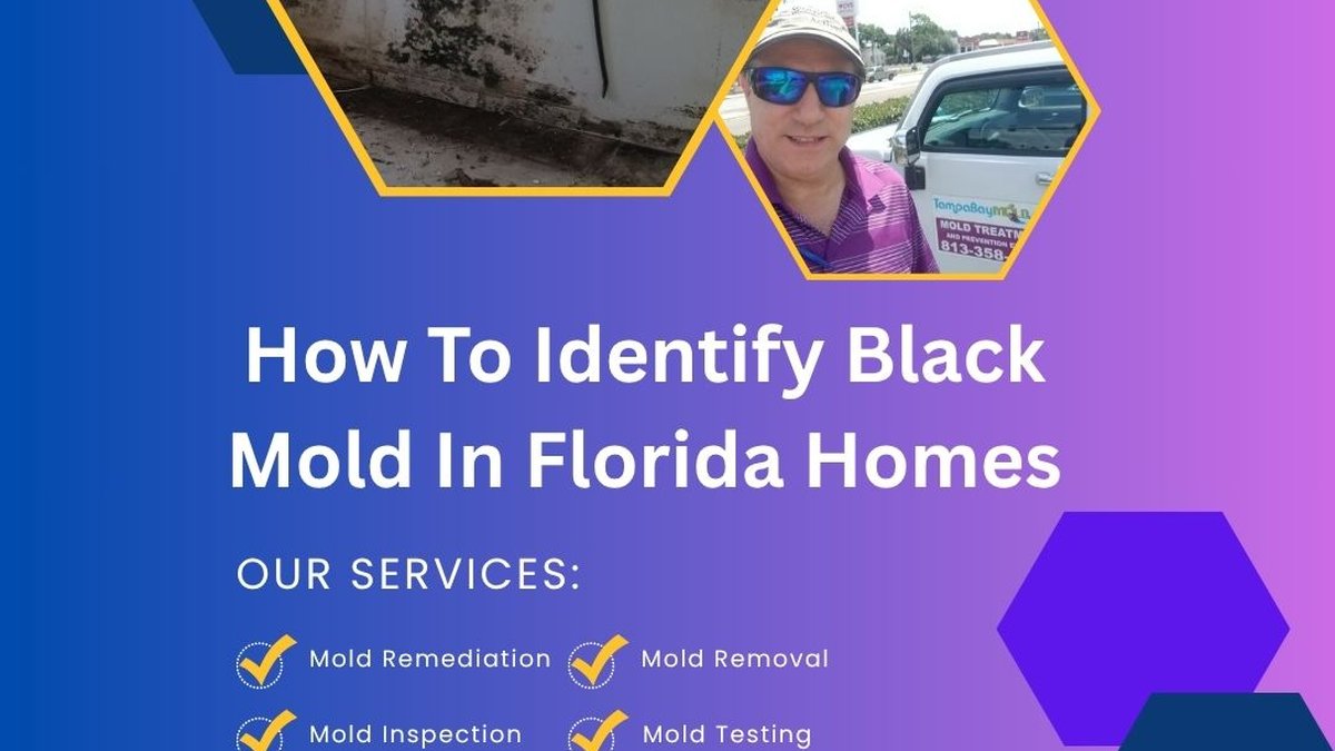 How to Detect Mold: Tampa Bay Inspector Reveals Musty Smell Signals