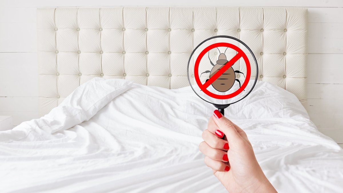 How To Get Rid Of Bed Bugs: Fuquay-Varina, NC Experts Compare Pro & DIY Methods