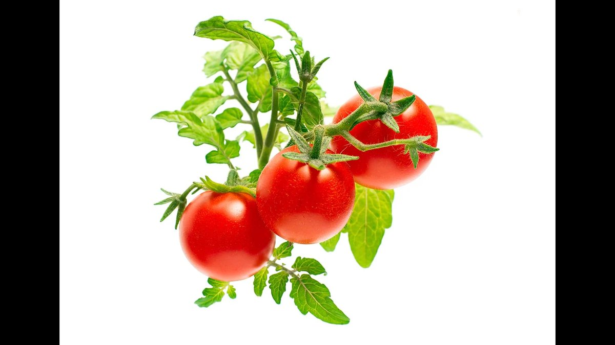 Indoor Smart Garden With Scandinavian Design & NASA Soil Tech Announced