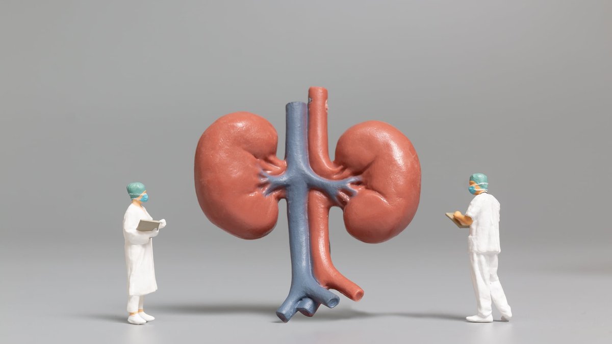 Kidney Toxicity Signs, Symptoms, & At-Home Detox Support Therapy Guide Released