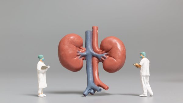 Kidney Toxicity Signs, Symptoms, & At-Home Detox Support Therapy Guide Released