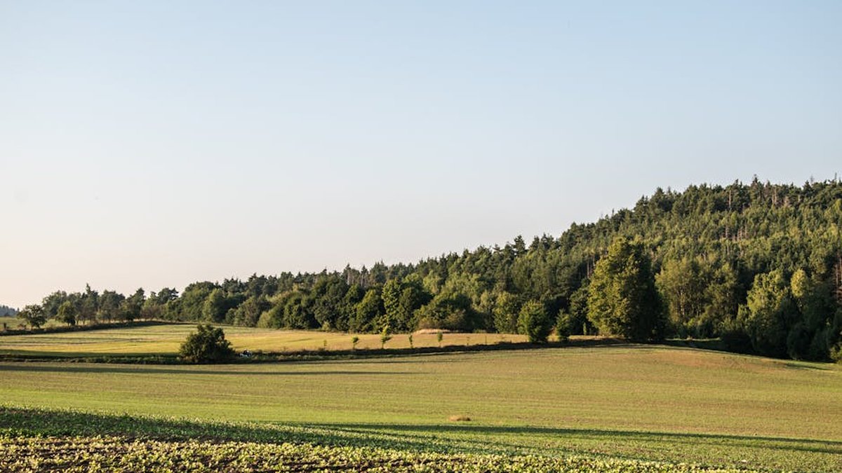 Land With Tax Liens: How To Sell Unwanted Property Fast & Minimize Costs