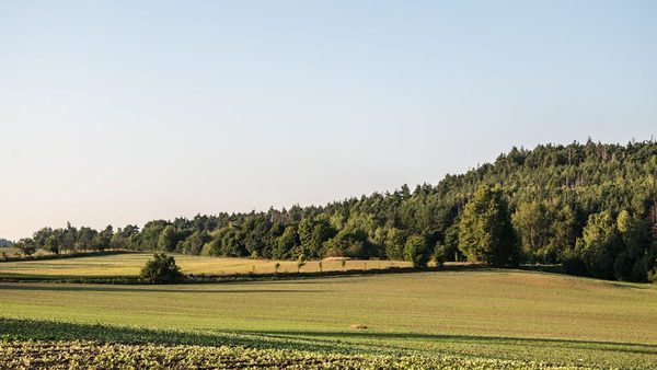Land With Tax Liens: How To Sell Unwanted Property Fast & Minimize Costs