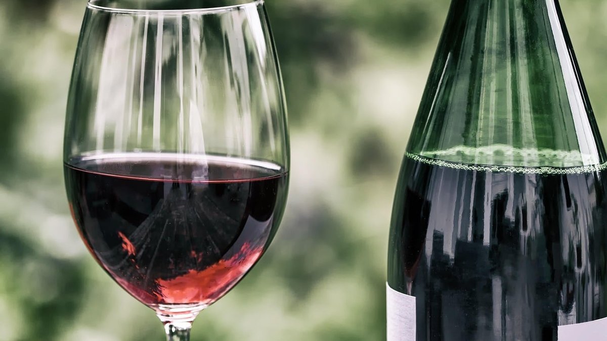 Napa Valley Wine Tour Tips: What Every First-Time Visitor Needs to Know