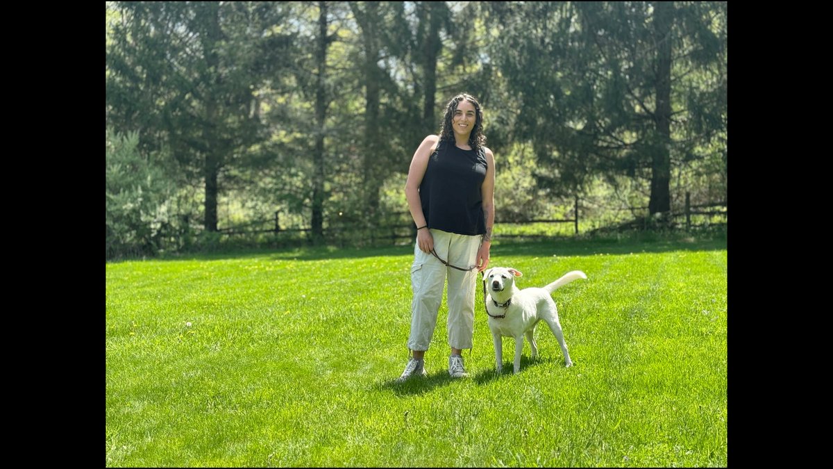 NJ Dog Trainer Selection Guide: What Owners Need to Know Released