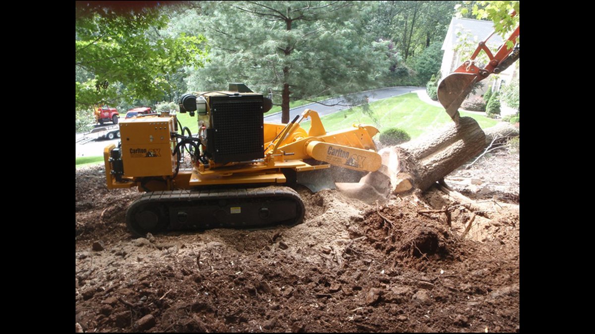 Saturated Ground Tree Failure | Warren NJ Tree Care Company Explains