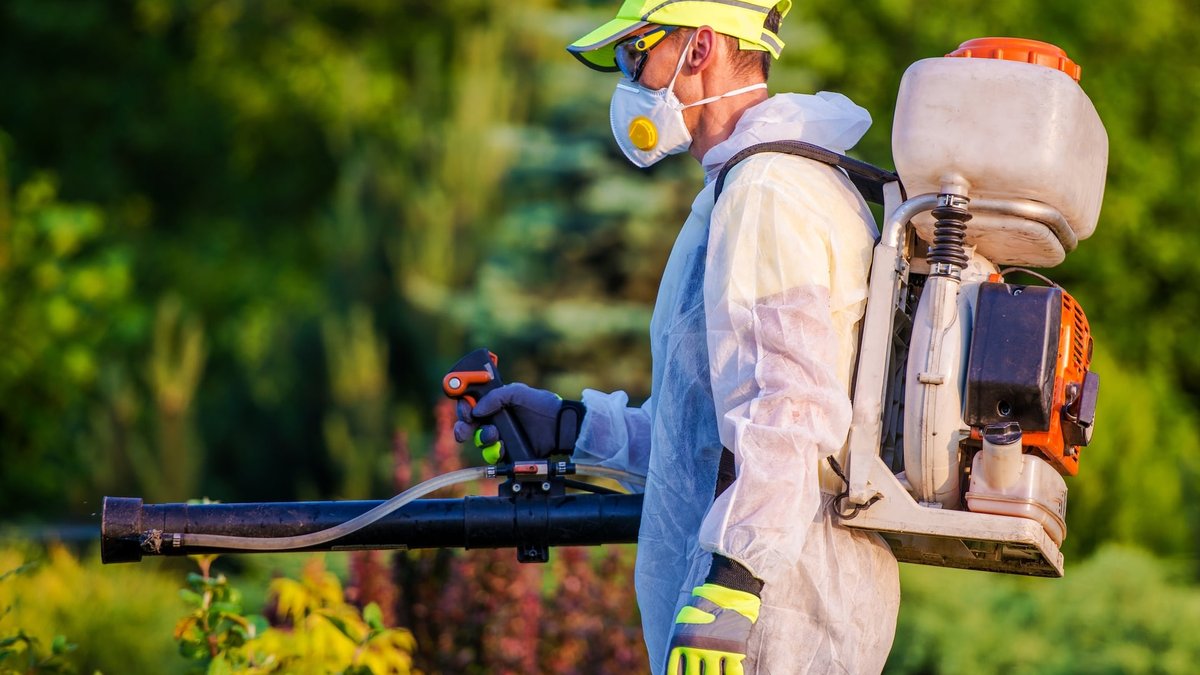 Sterling, VA Pest Control For Residential Properties: Routine Inspections Expand
