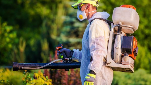 Sterling, VA Pest Control For Residential Properties: Routine Inspections Expand