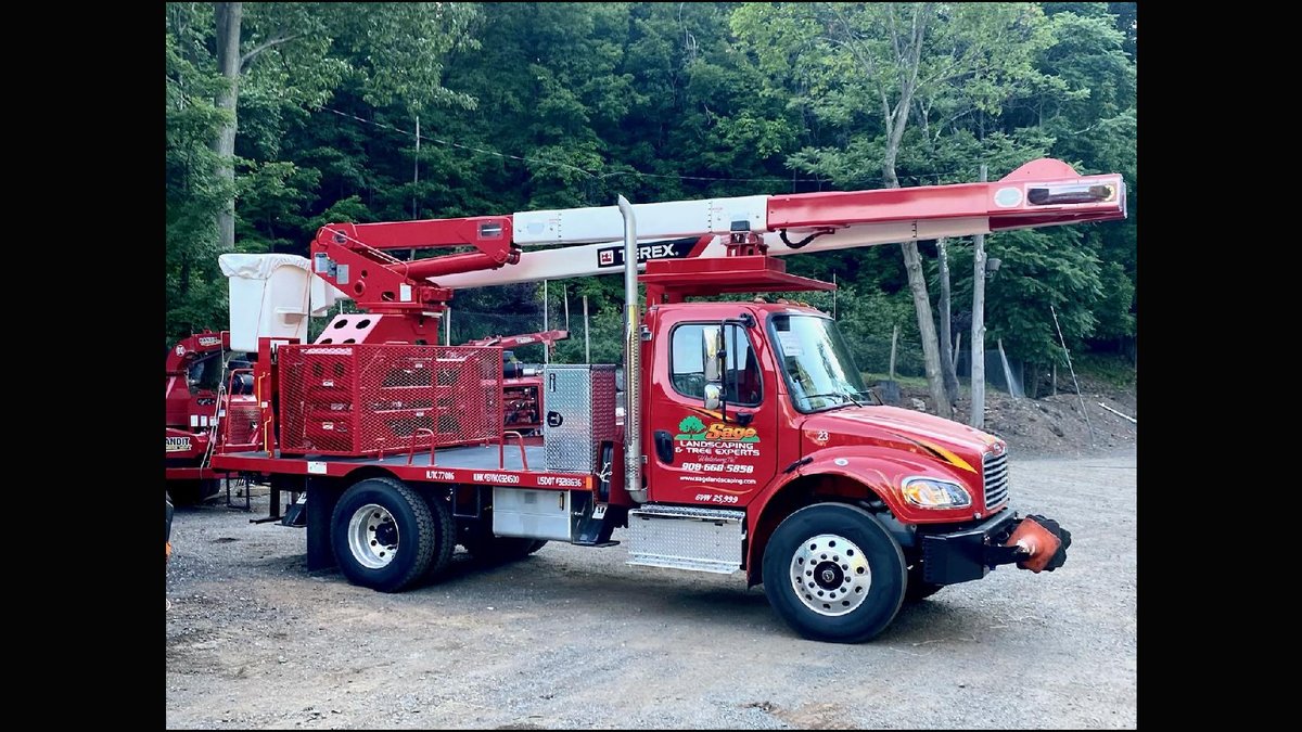 Tree Service Central NJ: Sage Tree Experts Announces Full-Service Care