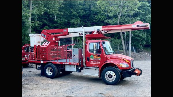 Tree Service Central NJ: Sage Tree Experts Announces Full-Service Care