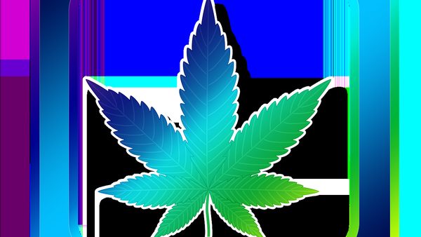 Advertising CBD on Meta Platforms: What Marketers Need to Know in 2026