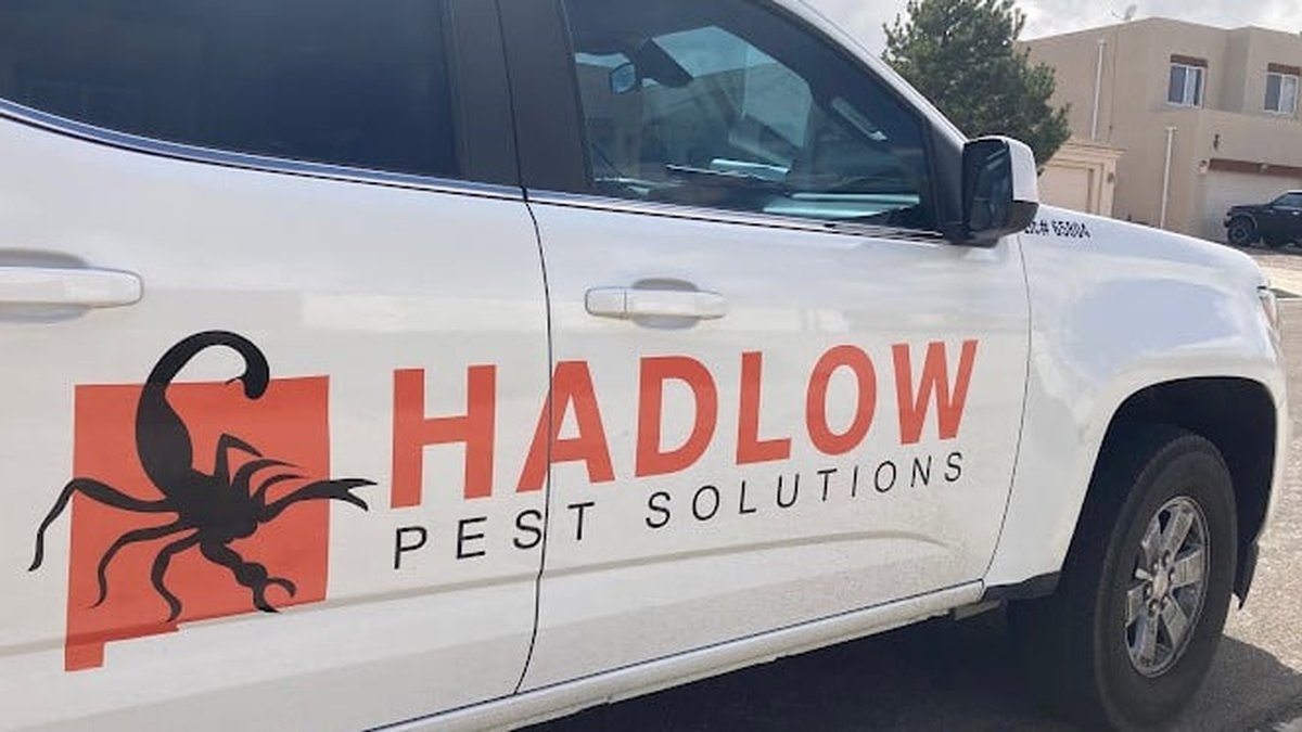 Albuquerque Pest Control Cost & Reviews Guide for Homeowners Announced