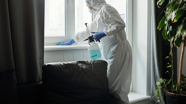 Ashburn, VA Bed Bug Exterminators With Home-Safe Heat Treatment: Services Launch