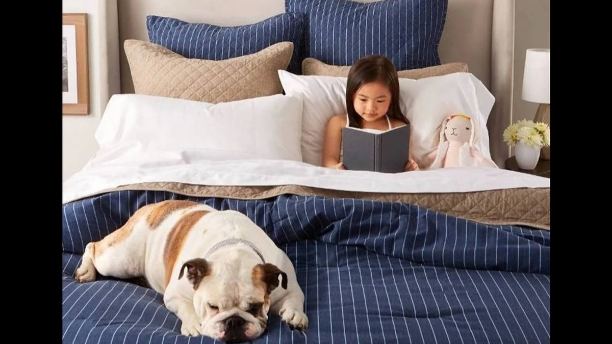 Best Sheet Materials for Dog Hair: Pet-Resistant Bedding Options Explored