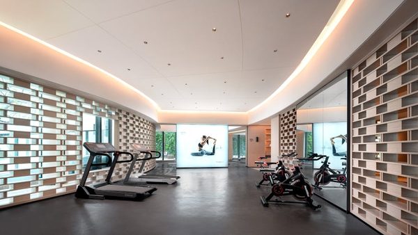 Best Treadmill for Serious Runners: Commercial Features at Home Prices