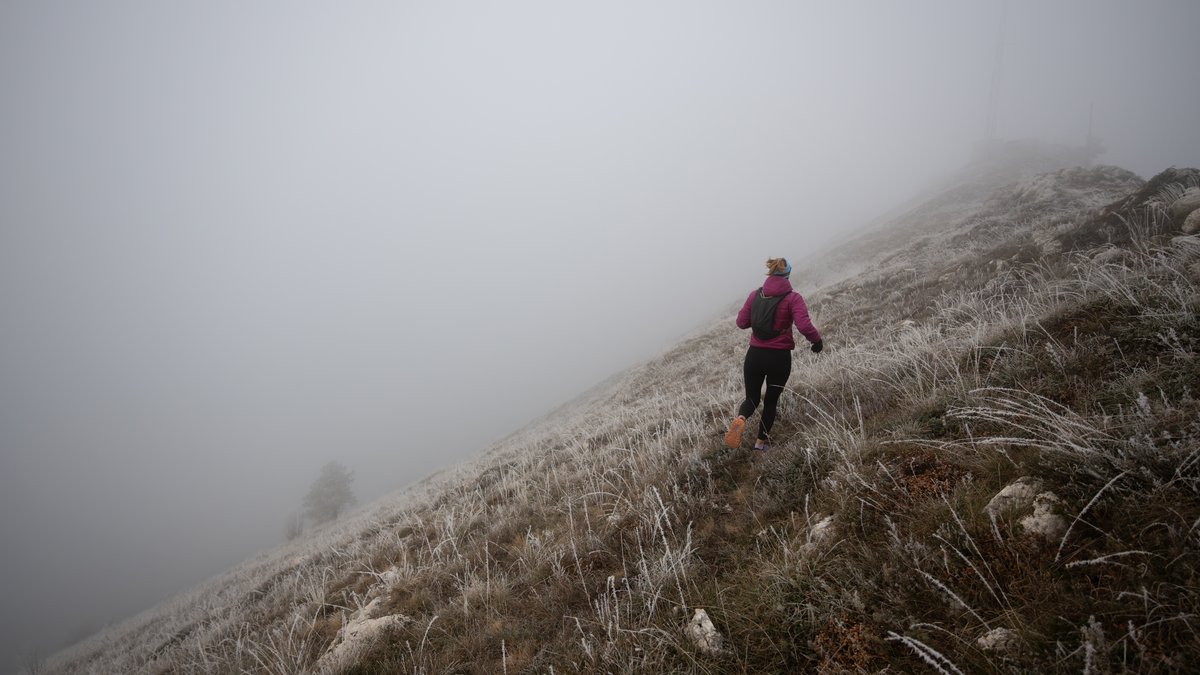 Best Treadmills for Trail Runners: Motor Power, Optimal Decline Range Explored