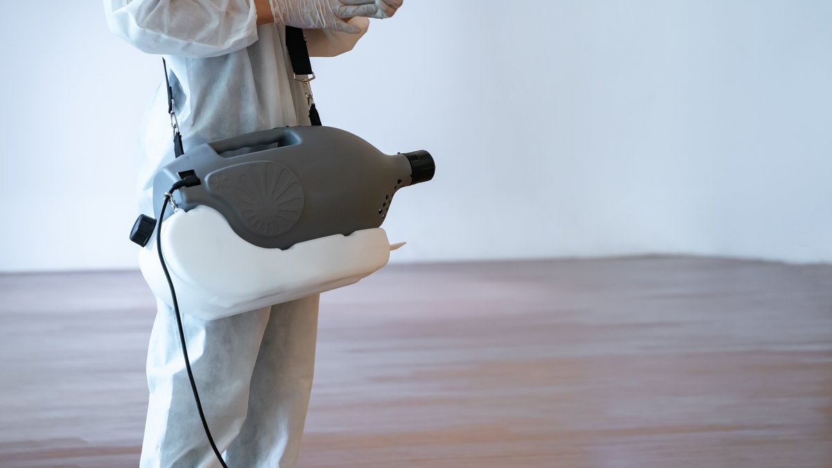 Best Way to Remove Bed Bugs: Virginia Exterminators Compare Heat vs Chemical
