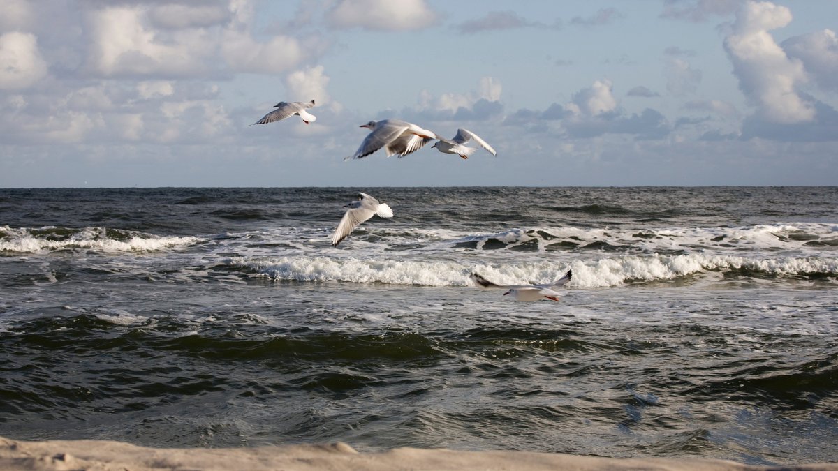 Biloxi Beachfront Rental Property With Pool: Tips, Amenities, & Attractions