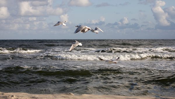 Biloxi Beachfront Rental Property With Pool: Tips, Amenities, & Attractions