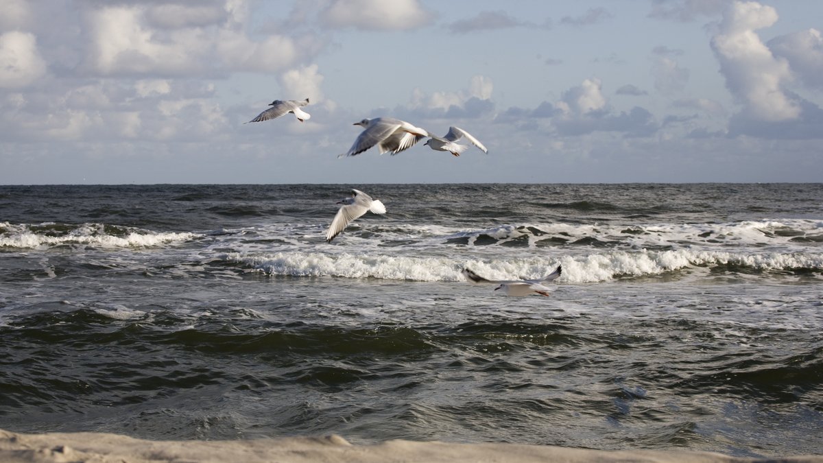 Biloxi Beachfront Vacation Rentals By Owner With Pool Amenities: Guide Released