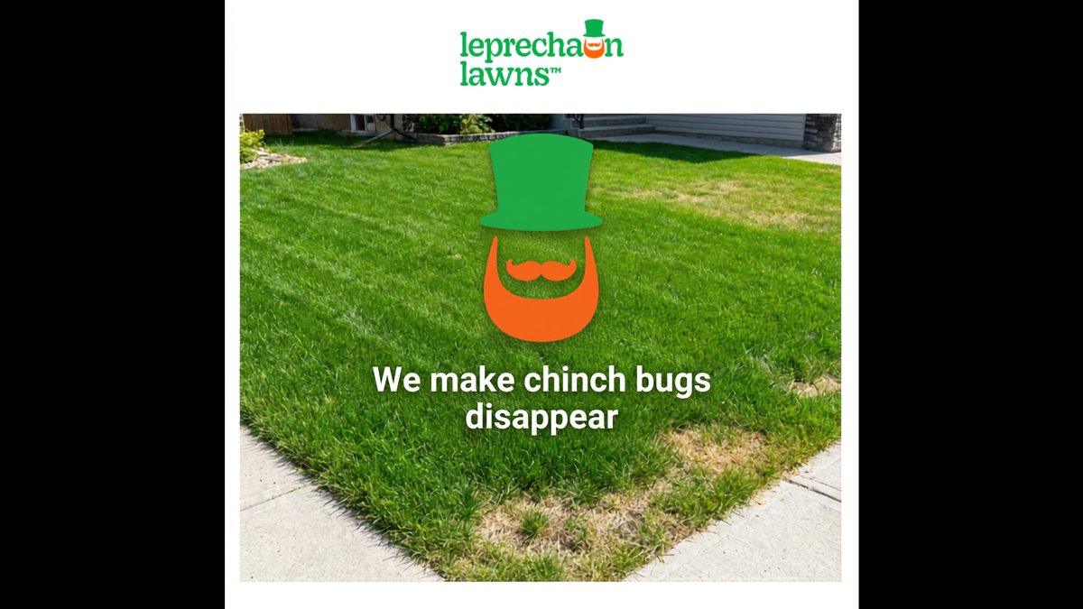 Calgary Chinch Bug Control 2026: Expert Program With Proven Results Announced