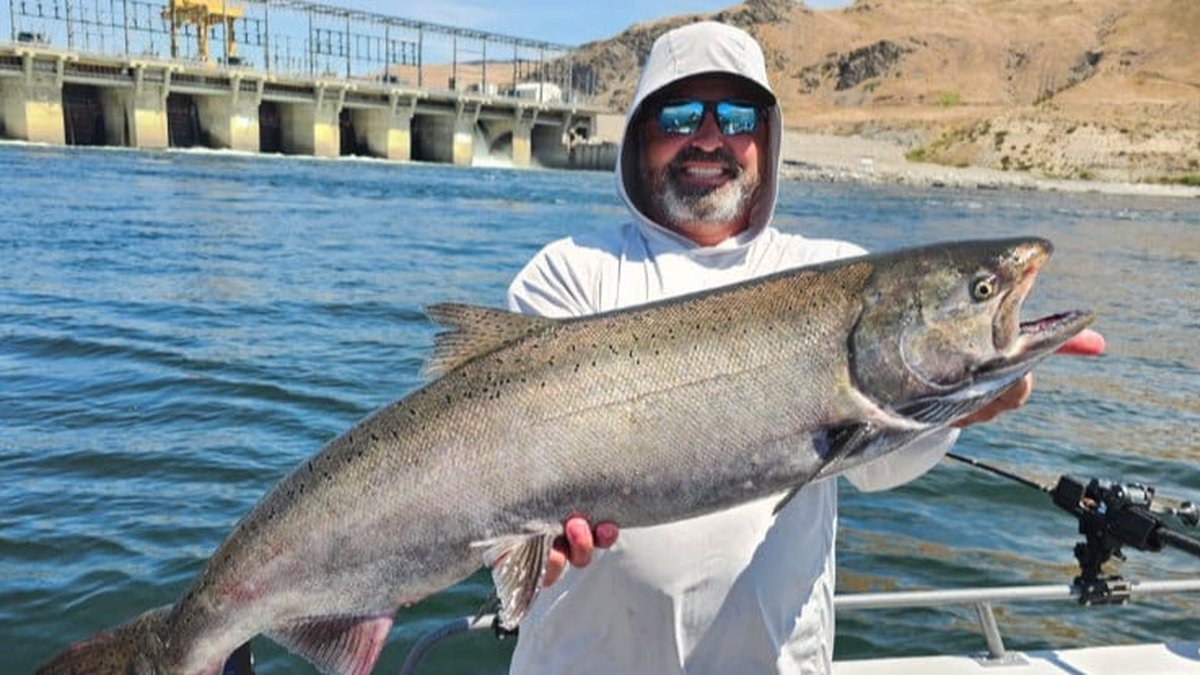 Coho vs Chinook Salmon Fishing at Buoy 10: How to Tell Them Apart in the Water