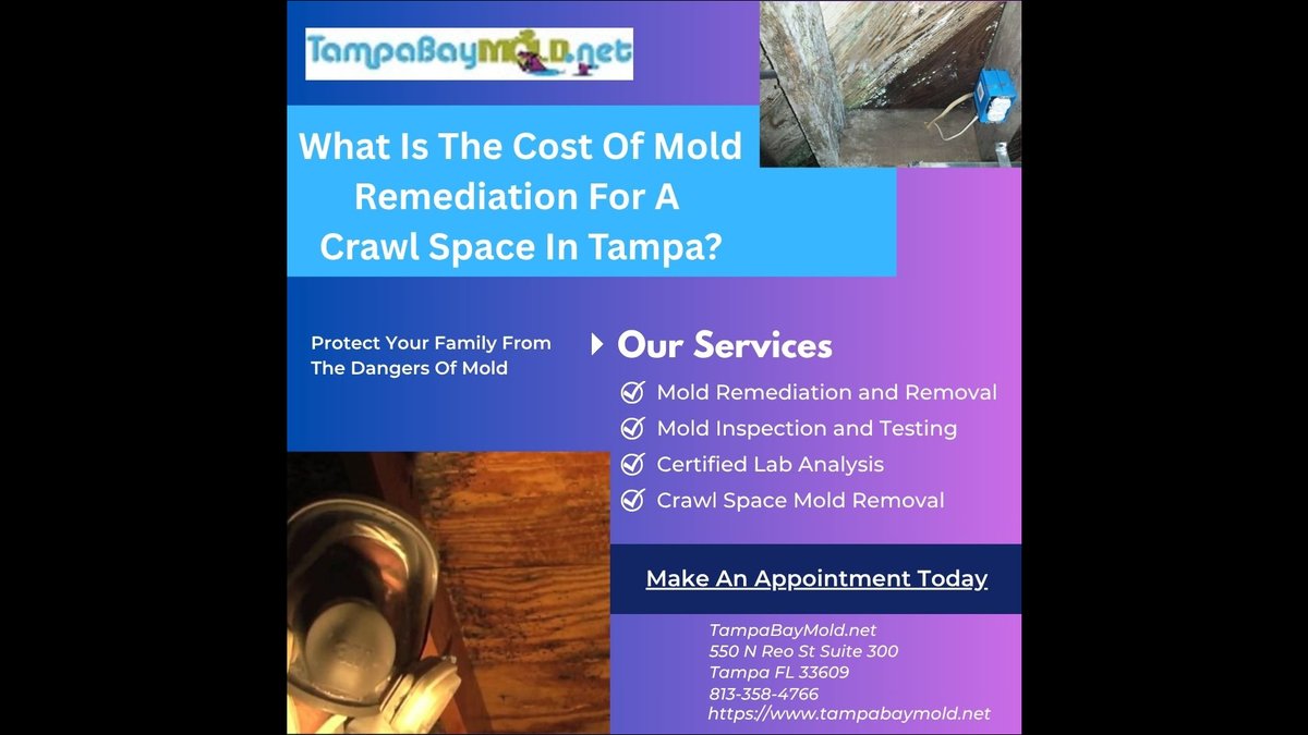 Crawl Space Mold Removal Service for Older Tampa Bay Homes Announced