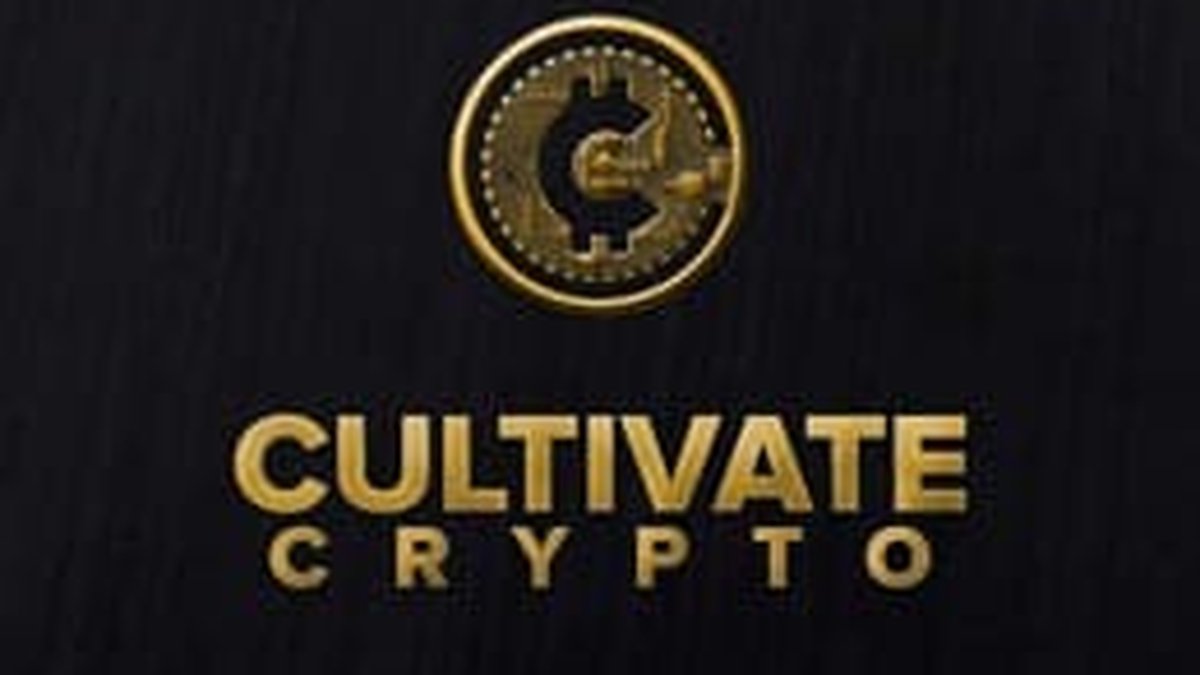 Cryptocurrency Courses For Bitcoin & Stablecoins Beginners: Platform Launched