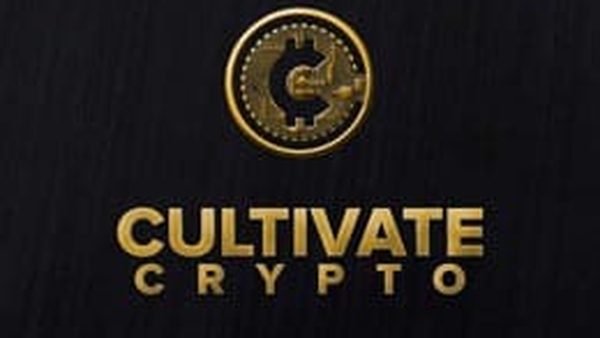 Cryptocurrency Courses For Bitcoin & Stablecoins Beginners: Platform Launched