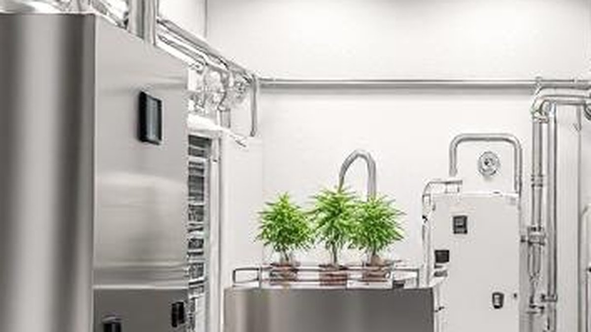EU GMP-Compliant Medical Extraction Lab Design: Consulting Services Expanded