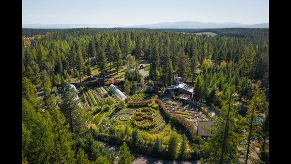 Executive Team Off-Site Disconnection? Glacier Retreat Facilitator Explains