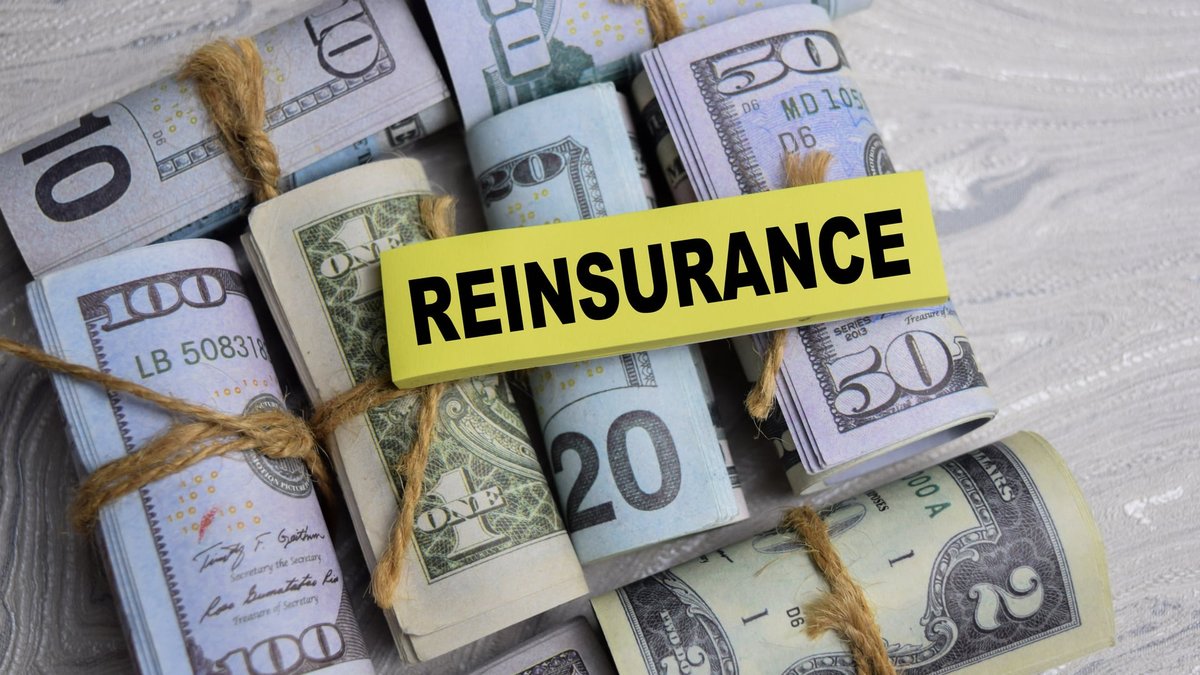 Facultative vs Treaty Reinsurance: Case-by-Case or Portfolio Coverage?